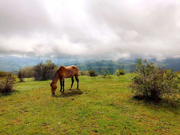 Участок 7 сот. (ИЖС)