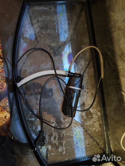 Аквариум с золотой рыбкой