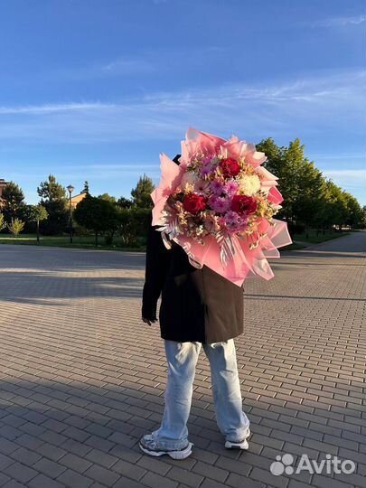 Хризантема кустовая цветы