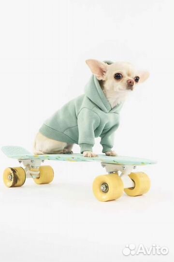 Худи для маленьких собак