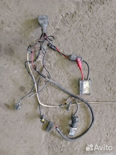 Ксенон toyota н4