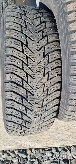 Nokian Tyres Hakkapeliitta 8 195/65 R15