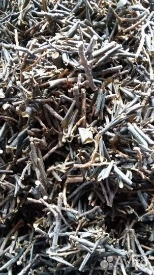 Саган - Дайля