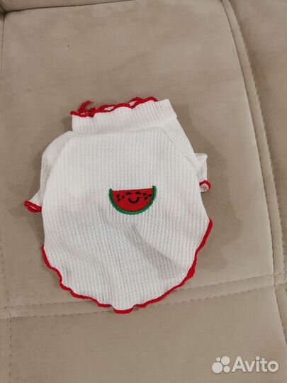 Одежда для собак