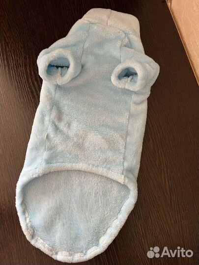 Одежда для животных