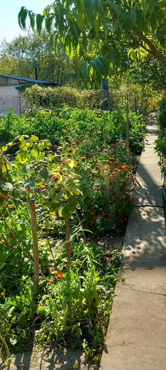 Дача 13,5 м² на участке 5 сот.