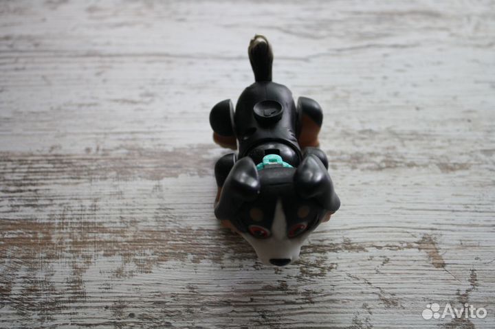 Карманная собачка