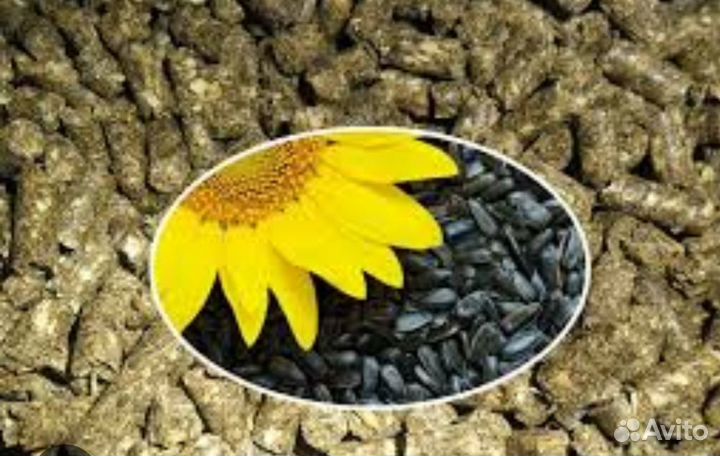 Шрот подсолнечный