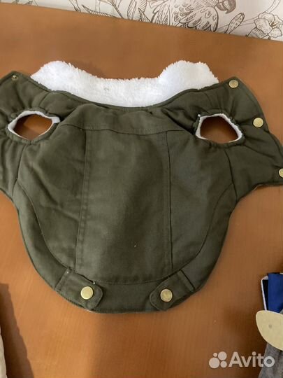 Одежда для собак мелких пород