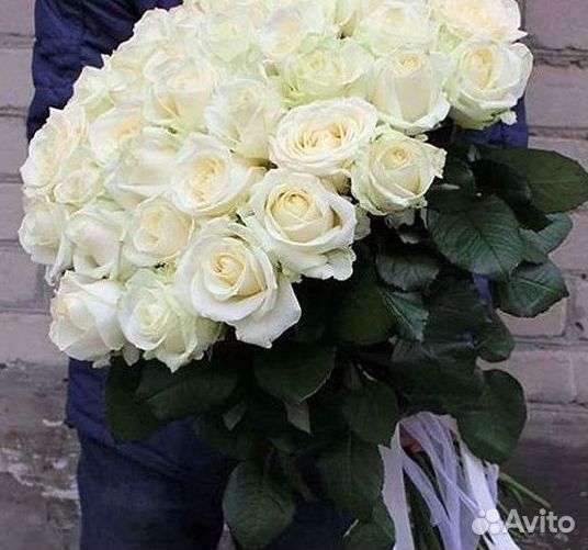 Высокие розы