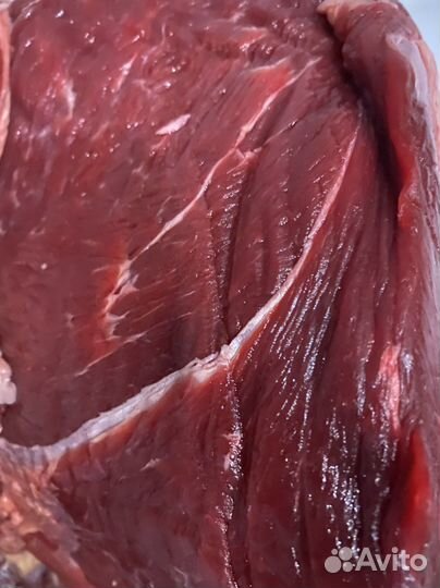 Мясо говядина