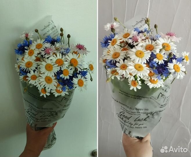 Васильки ромашки цветы букет