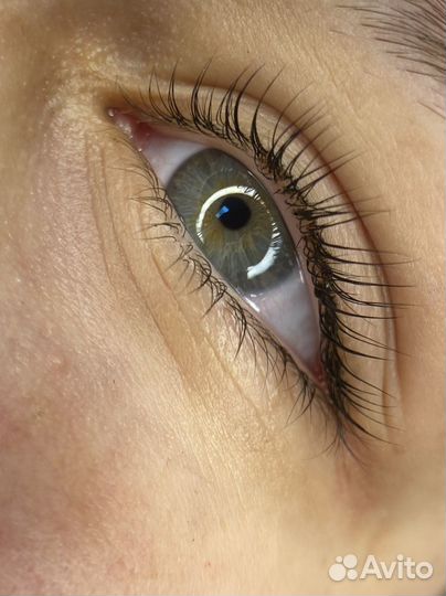 Модель брови ресницы