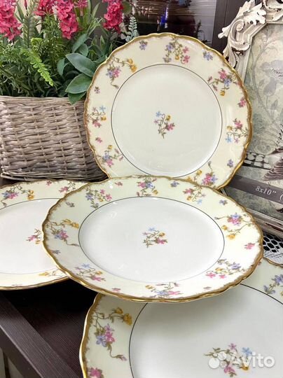 Чудесные тарелки от Limoges