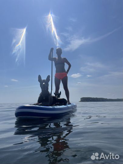 Сап SUP прогулки, аренда