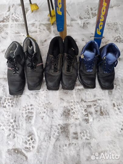 Беговые лыжи