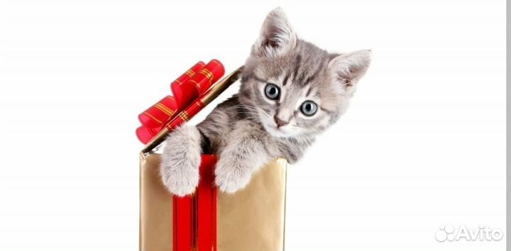 Кладовщик вахта