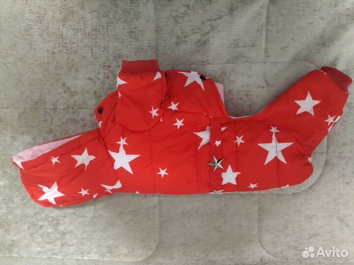 Одежда для маленьких пород собак