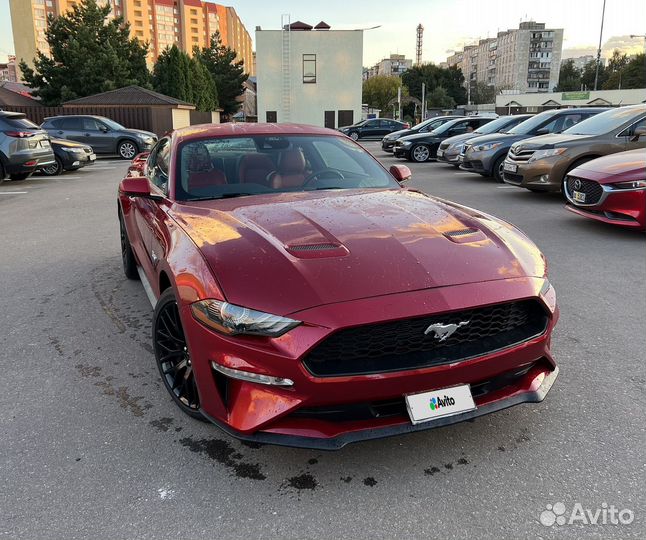 Ford Mustang 5.0 МТ, 2022, 97 км