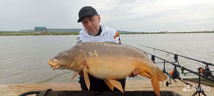 Аттрактант пылящий бустер GOO карпхаус