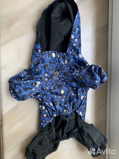 Дождевик для маленькой собаки