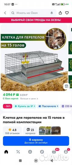Клетки для перепелов