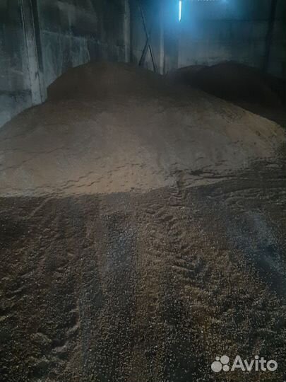 Зерно пшеница ячмень