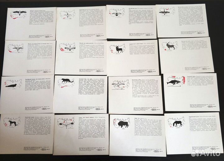 Набор открыток Красная книга СССР