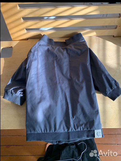 Бомбер для собак