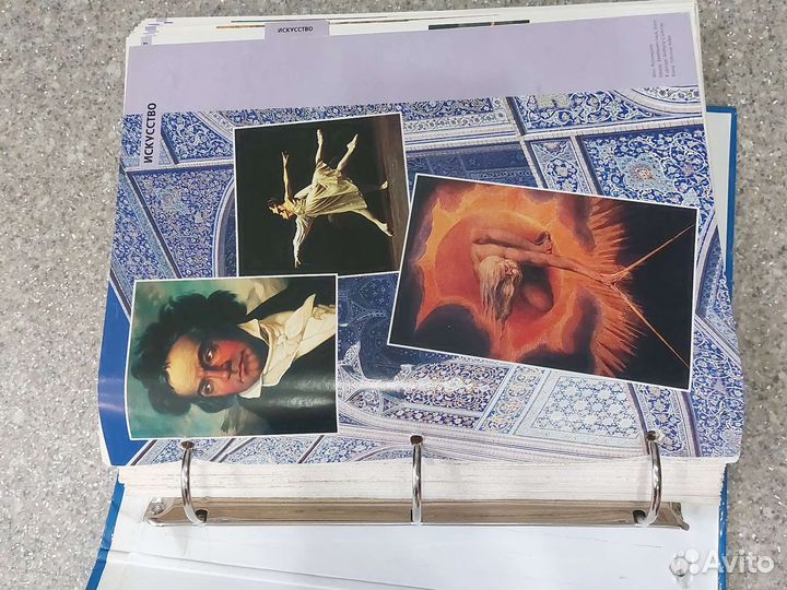 Древо познания