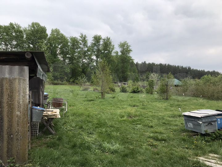 Участок 25 сот. (ИЖС)