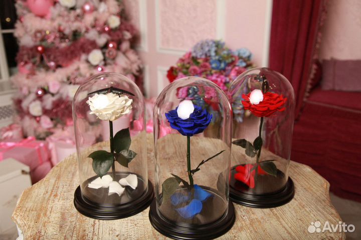 Роза в колбе