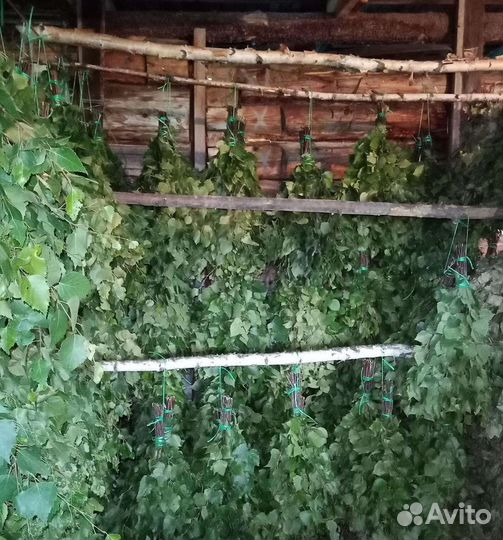 Березовые веники