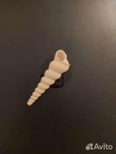 Ракушки и кораллы