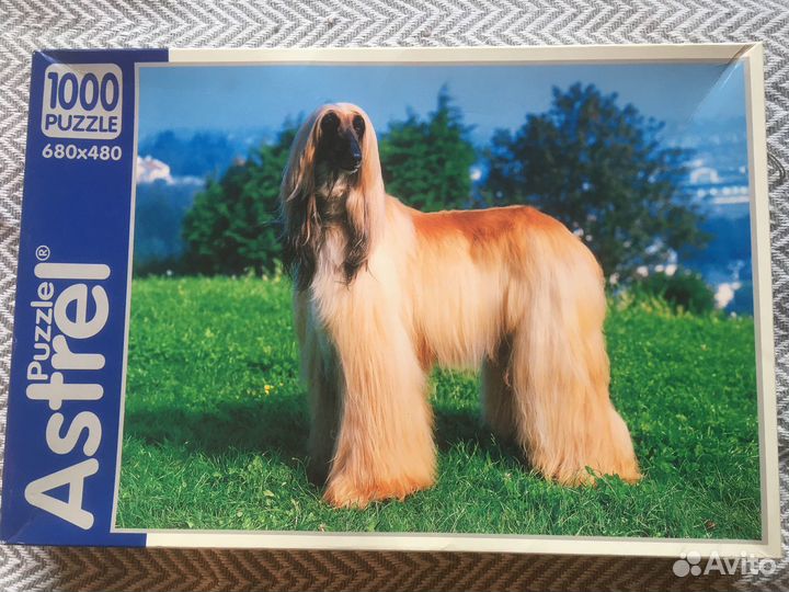 Пазл 1000 Афганская борзая