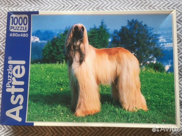 Пазл 1000 Афганская борзая