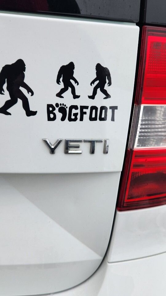 Skoda Yeti: фото владельца