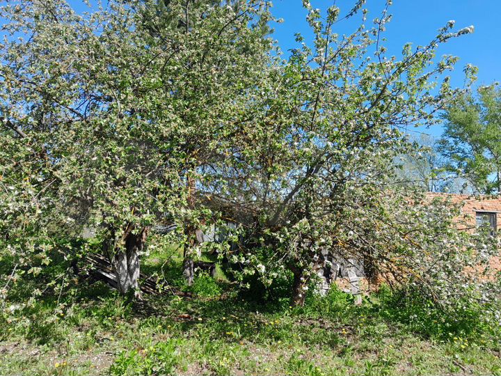 Дом 82,5 м² на участке 7,5 сот.