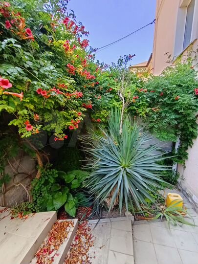 Дом 274 м² на участке 4 сот.