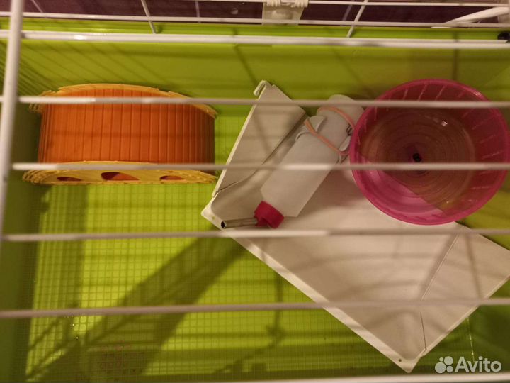 Клетки для грызунов бу