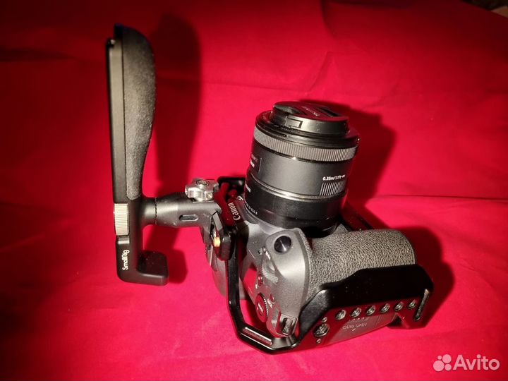 Canon eos R body