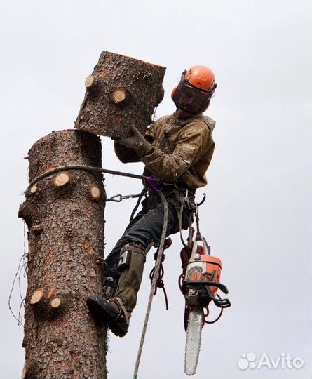 Спил аварийных Деревьев