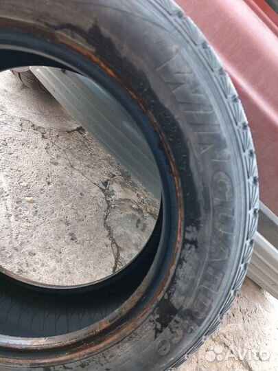 Roadstone Winguard Ice 205/60 R16 92Q