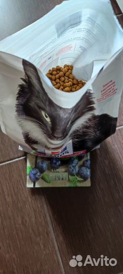 Сухой корм для стерилизованных кошек