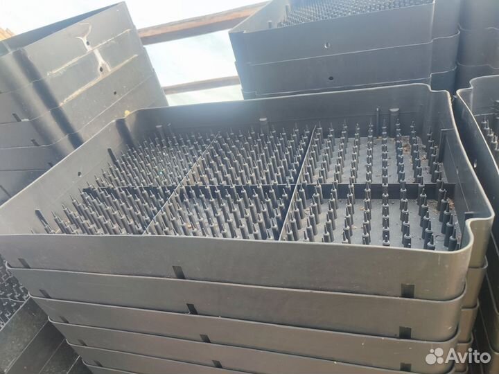 Лотки под выгонка тюльпана гидропоника