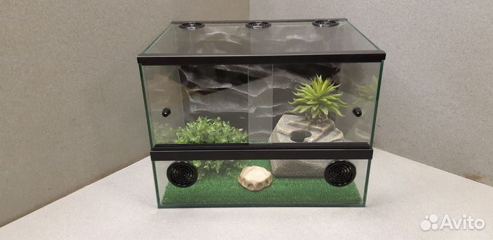 Обзорные террариумы