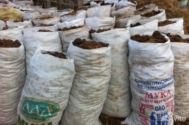 Навоз конский