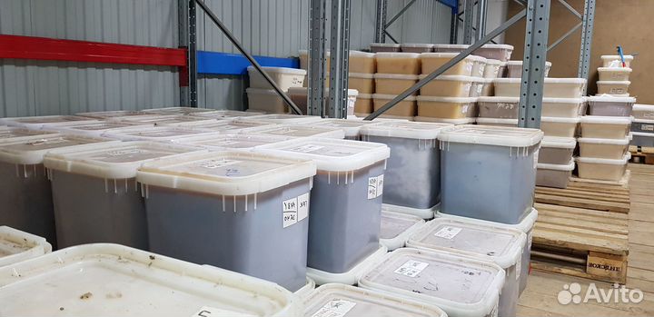 Мёд опт свежий