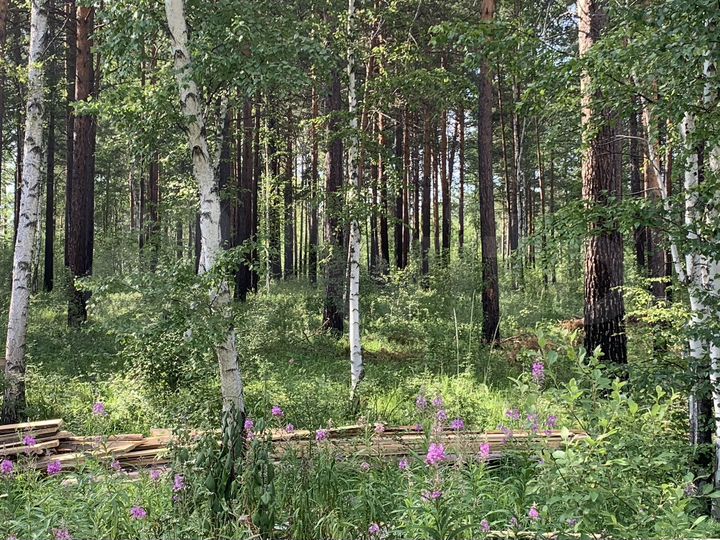 Участок 6,5 сот. (ИЖС)