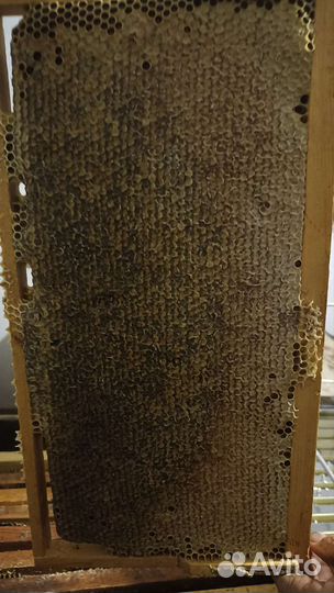 Крымский мёд с собственной пасеки